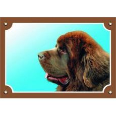 Farebná ceduľka Pozor pes, Novofundlandský pes hnedý