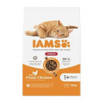Iams Cat Adult IND Chicken 10kg