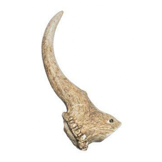 Pochúťka parožie Daněk 170-230g