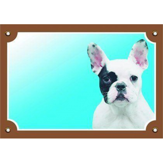 Farebná ceduľka Pozor pes, Francúzsky buldoček svetlý