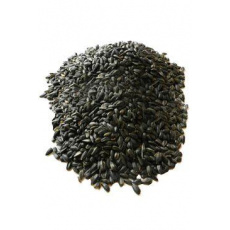 Slnečnica čierna 5kg