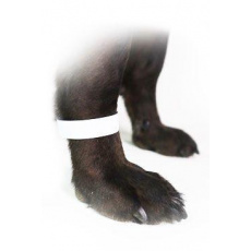 Páska označovacia 1,9cm biela, 500ks CVET Páska označovacia 1,9cm biela, 500ks CVET