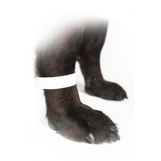 Páska označovacia 1,9cm biela, 500ks CVET Páska označovacia 1,9cm biela, 500ks CVET