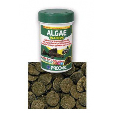 Krmivo pre ryby Prodac Algae Wafers 50g Krmivo pre ryby Prodac Algae Wafers 50g