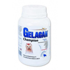 Gelacan Champion psi farebné plemená 150g
