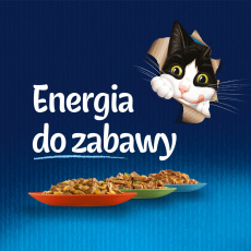 Friskies hovězí želé - vlhké krmivo pro kočky - 100 g