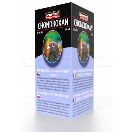 Chondroxan holub 500ml