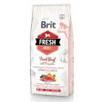 Brit Fresh Dog Beef & Pumpkin Puppy Large 2,5 kg