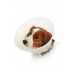 Golier ochranný BUSTER nepriehľadný Classic Collar 30cm