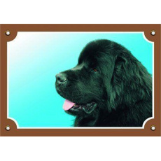 Farebná ceduľka Pozor pes, Novofundlandský pes čierny