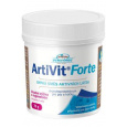 VITAR ArtiVit Forte prášok 70g