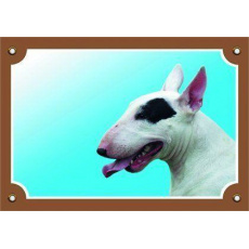 Farebná ceduľka Pozor pes, Bullterier suka