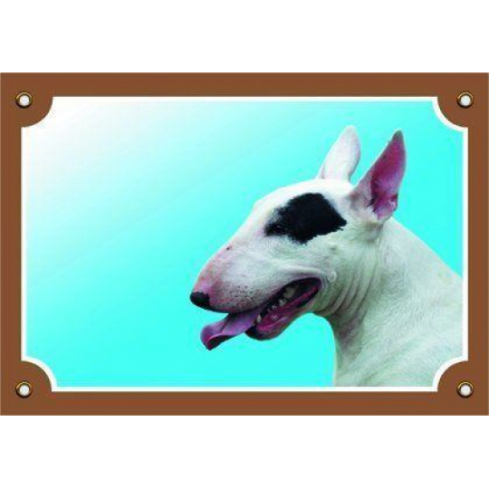 Farebná ceduľka Pozor pes, Bullterier suka Farebná ceduľka Pozor pes, Bullterier suka