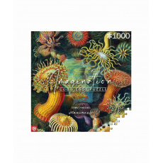 Představivost Puzzle: Ernst Haeckel Mořští živočichové 1000 prvků