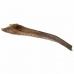 Papah wood - palmový list 50-65 cm pro plazy na lezení (6ks)