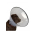 Ochranný golier BUSTER plastový Comfort Collar 20cm