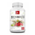 Allnature Berberín extrakt 98% 500mg 60cps