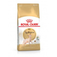 Royal Canin Sphynx suché krmivo pro kočky 2 kg