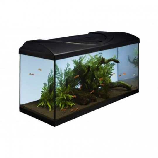 Akváriový set 80 - čierna 80x35x40 cm (RP 2,90 €) Akváriový set 80 - čierna 80x35x40 cm (RP 2,90 €)