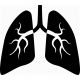 Poruchy dýchacích ciest, horúčky