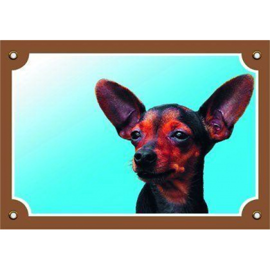 Farebná ceduľka Pozor pes, Krysařík Farebná ceduľka Pozor pes, Krysařík