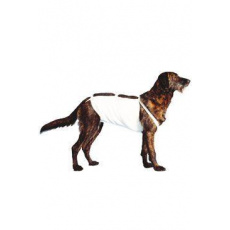 Bandáž brušná č.7 pre psy, 64 cm, bernardín 1ks CVET Bandáž brušná č.7 pre psy, 64 cm, bernardín 1ks CVET