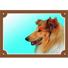 Farebná ceduľka Pozor pes, Kólia