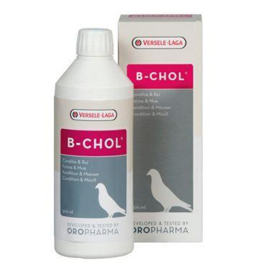 VL Oropharma B-Chol 500ml VL Oropharma B-Chol 500ml