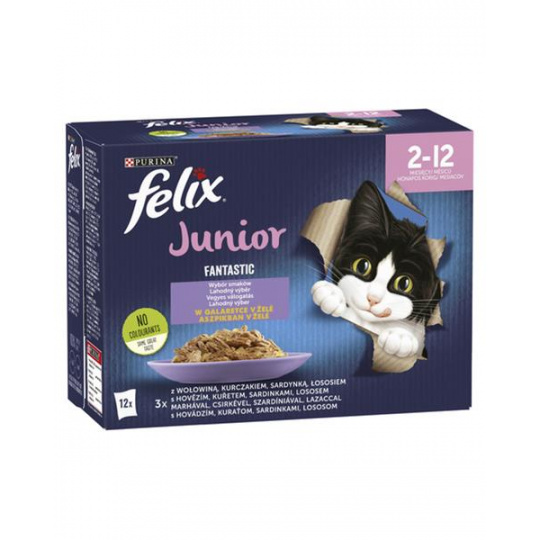 Nestlé FELIX Fantastic cat Multipack junior hovädzie, kura, sardinky, losos v želé kapsička 12x85 g Nestlé FELIX Fantastic cat Multipack junior hovädzie, kura, sardinky, losos v želé kapsička 12x85 g