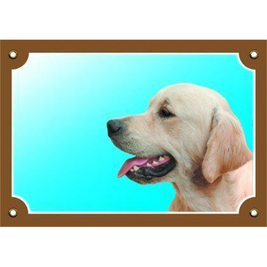 Farebná ceduľka Pozor pes, Zlatý retriever Farebná ceduľka Pozor pes, Zlatý retriever