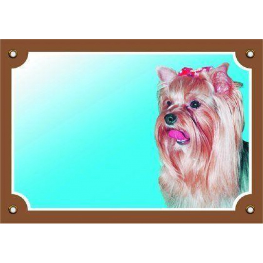 Farebná ceduľka Pozor pes, Yorkshirský teriér Farebná ceduľka Pozor pes, Yorkshirský teriér