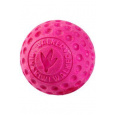 Hračka pes BALL MAXI plávajúca. z TPR ružová Kiwi