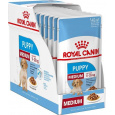 ROYAL CANIN SHN Medium Puppy in sauce - mokré krmivo pro štěňata - 10x140g