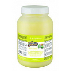 San Bernard Maska Zenzero-Baza 1000ml San Bernard Maska Zenzero-Baza 1000ml
