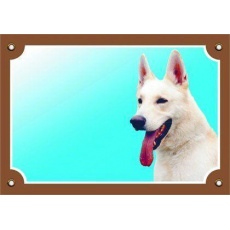 Farebná ceduľka Pozor pes, Kanadsko-americký ovčiak