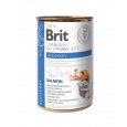 Brit Veterinary Diets GF cat + dog Recovery 400 g konzerva