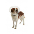Ochranný golier BUSTER plastový Clic Collar 20cm