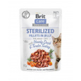 Brit Care cat Kapsička Sterilized Fillets in Jelly with Hearty Duck & Tender Turkey 24 x 85 g