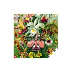 Imagination Puzzle: Ernst Haeckel Orchidej 1000 prvků