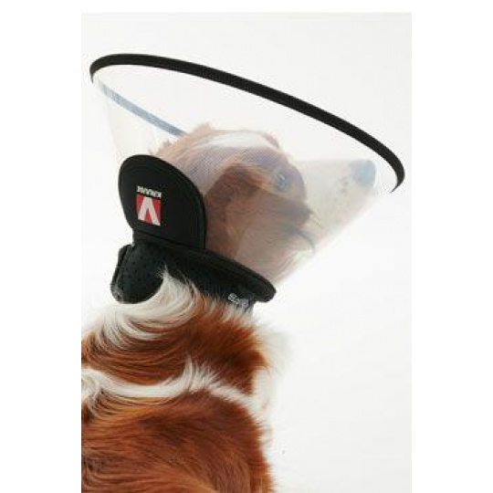 Ochranný golier BUSTER plastový Complete Collar 30cm Ochranný golier BUSTER plastový Complete Collar 30cm