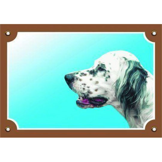 Farebná ceduľka Pozor pes, Anglický seter biely Farebná ceduľka Pozor pes, Anglický seter biely