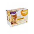 Iams Cat Kitten kurča v omáčke multipack 12x85g