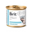 Brit VD Cat GF konz Obesity 200g