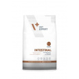 VetExpert VD puppy Intestinal 2 kg