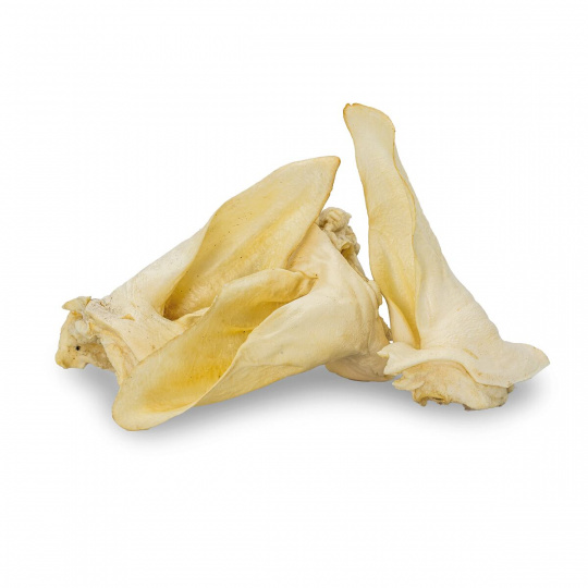 Srnčí ucho bílé (popcorn) - 1 ks