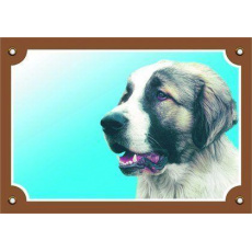 Farebná ceduľka Pozor pes, Kaukazský ovčiak