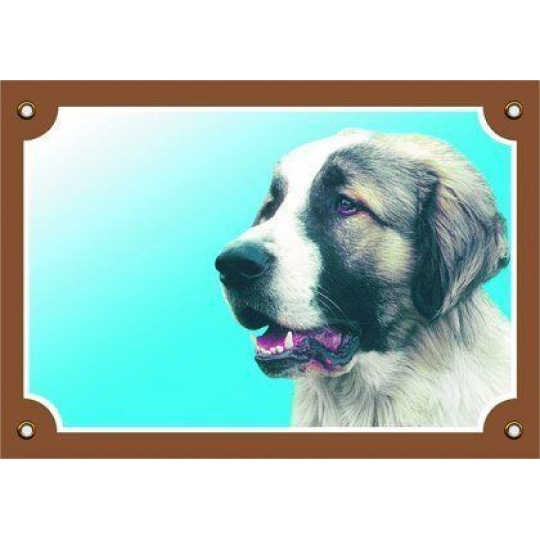 Farebná ceduľka Pozor pes, Kaukazský ovčiak Farebná ceduľka Pozor pes, Kaukazský ovčiak