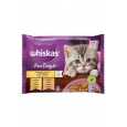 Whiskas kaps. Pure Delight Junior hydinové v želé 4x85g