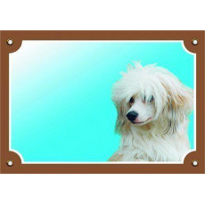 Farebná ceduľka Pozor pes, Čínsky chocholatý pes