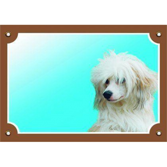 Farebná ceduľka Pozor pes, Čínsky chocholatý pes